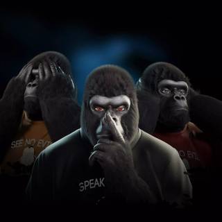 See No Evil, Hear No Evil wallpaper