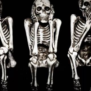 See No Evil, Hear No Evil wallpaper