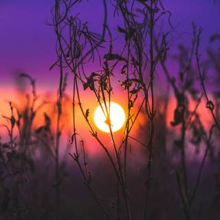 Good energy wallpaper