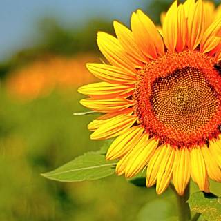 Good energy wallpaper