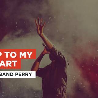 The Band Perry wallpaper