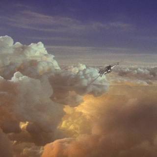 Terry Gilliam wallpaper