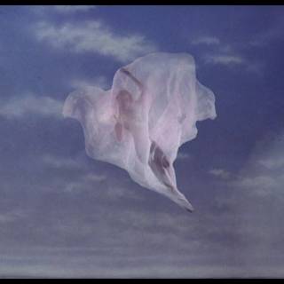 Terry Gilliam wallpaper