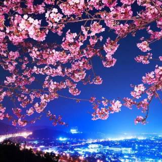 Japan urban wallpaper