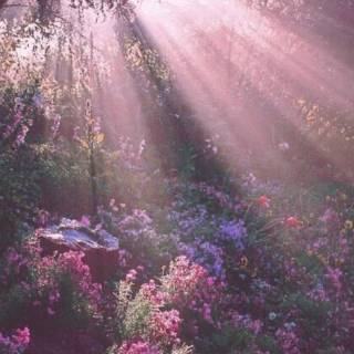 Red, green and purple wallpaper