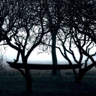 Soft horror wallpaper