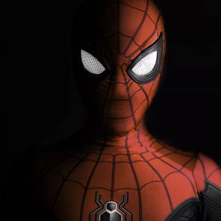 Spider-Man tablet wallpaper