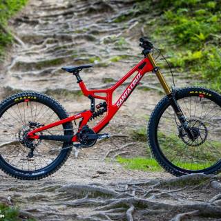 Santa Cruz v10 wallpaper