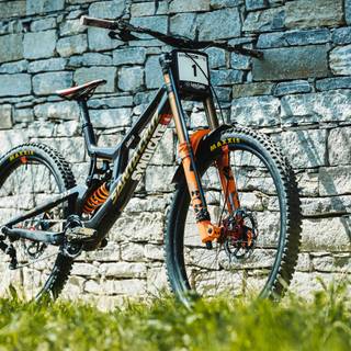 Santa Cruz v10 wallpaper