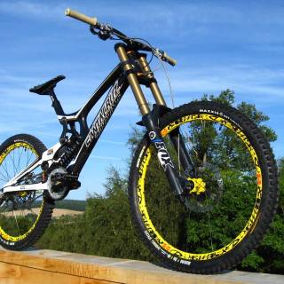 Santa Cruz v10 wallpaper