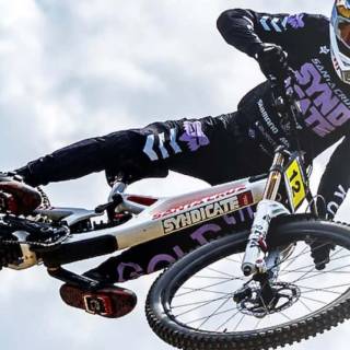 Santa Cruz v10 wallpaper