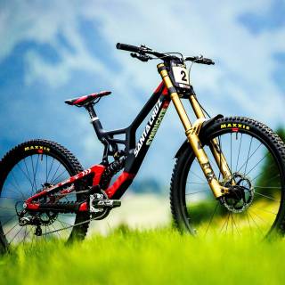 Santa Cruz v10 wallpaper