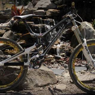 Santa Cruz v10 wallpaper