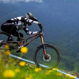 Santa Cruz v10 wallpaper