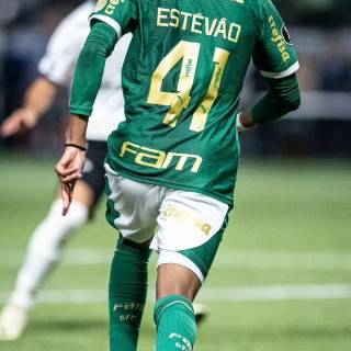 Estêvão wallpaper