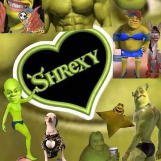 Shrek funny wallpaper