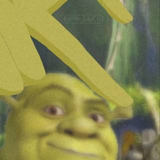 Shrek funny wallpaper