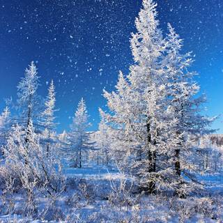 Snow weather wallpaper