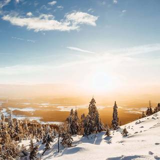 Snow weather wallpaper