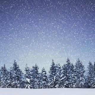 Snow weather wallpaper
