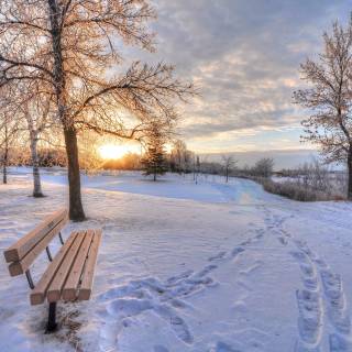 Snow weather wallpaper