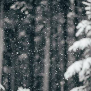 Snow weather wallpaper