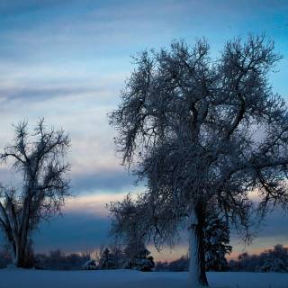 Snow weather wallpaper