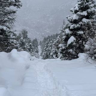 Snow weather wallpaper