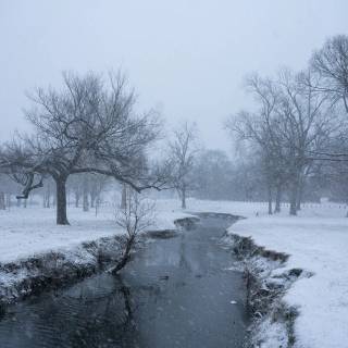 Snow weather wallpaper