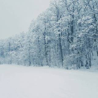 Snow weather wallpaper