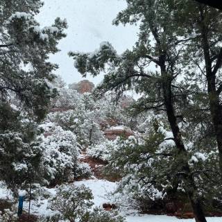 Snow weather wallpaper