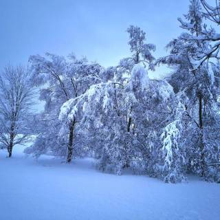 Snow weather wallpaper