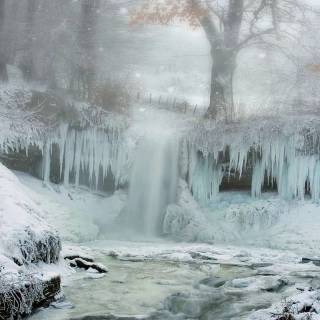 Snow weather wallpaper