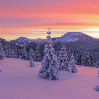 Snow weather wallpaper