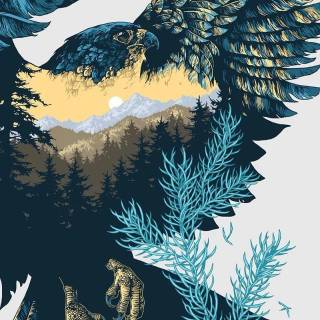 Falcon mobile wallpaper