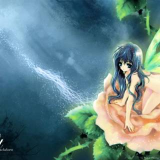 Anime fairy desktop wallpaper