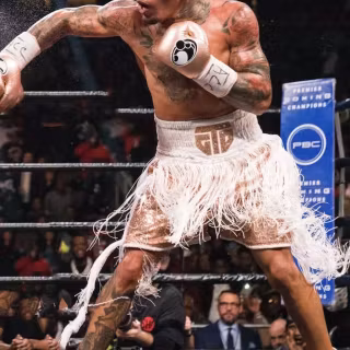 Boxer iPhone wallpaper