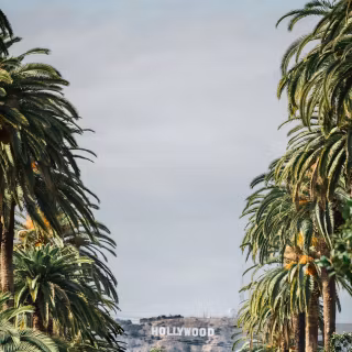 Beverly Hills iPhone wallpaper