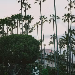 Beverly Hills iPhone wallpaper