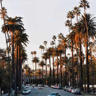 Beverly Hills iPhone wallpaper