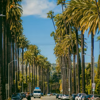 Beverly Hills iPhone wallpaper