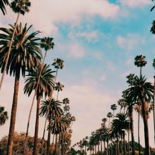 Beverly Hills iPhone wallpaper