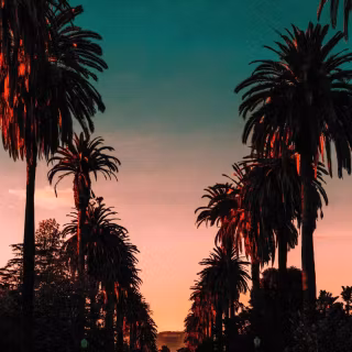 Beverly Hills iPhone wallpaper