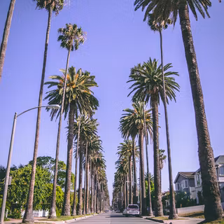 Beverly Hills iPhone wallpaper