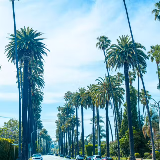 Beverly Hills iPhone wallpaper
