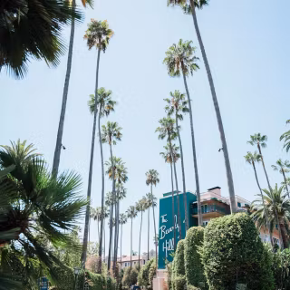 Beverly Hills iPhone wallpaper