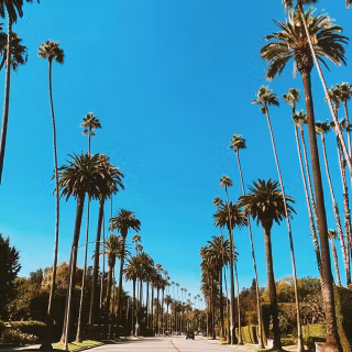 Beverly Hills iPhone wallpaper