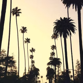Beverly Hills iPhone wallpaper