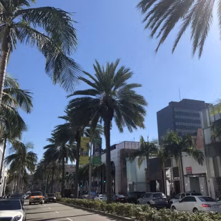 Beverly Hills iPhone wallpaper
