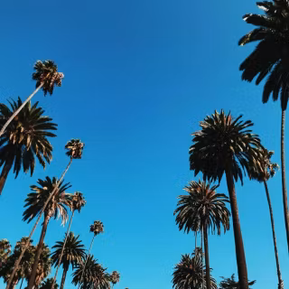 Beverly Hills iPhone wallpaper